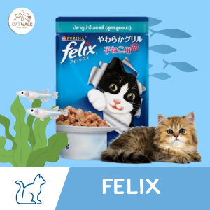 Felix Wet Kitten Food